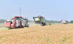 东北农机现状与保养指南：严冬是“铁牛”最大的考验